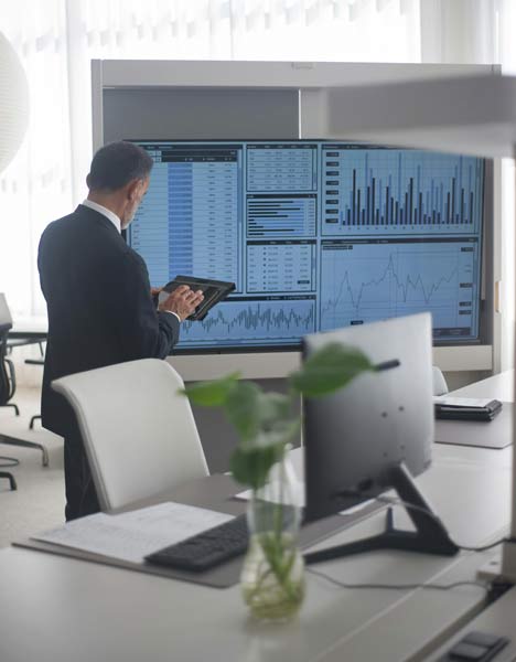 ERP implementation and rollout support